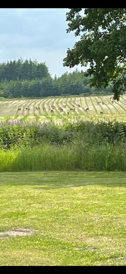 Granly-Vorbasse B&B Eksteriør billede